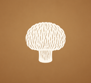 Lion's Mane