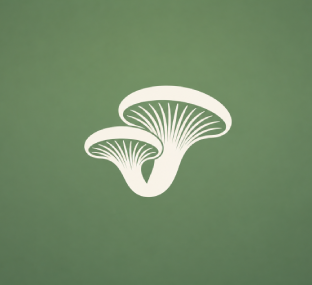Oyster Mushroom