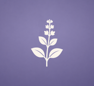 Holy Basil