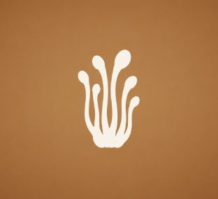 Cordyceps