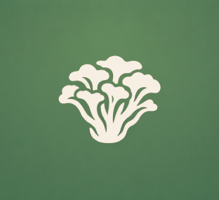 Maitake