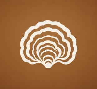 Turkey Tail